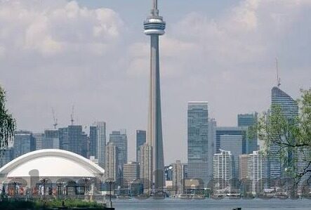 成人学院视频-成人学院视频，终身学习的桥梁与新机遇