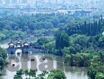 东方av在线麻豆-东方之美，麻豆文化的艺术探索与思考